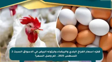 قفزة أسعار الفراخ البلدي والبيضاء وكرتونة البيض في الأسواق السبت 2 أغسطس 2025.. كم وصل السعر؟